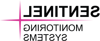 哨兵监控系统公司. logo